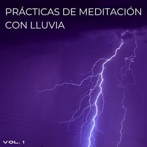 Prácticas De Meditación Con Lluvia Vol. 1 - Sonidos de hombre de lluvia