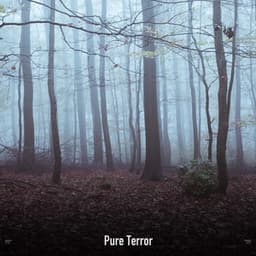 !!!!" Pure Terror "!!!! - The Citizens of Halloween