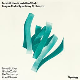 Synergy - Tomáš Liška