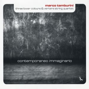 Contemporaneo immaginario - Marco Tamburini