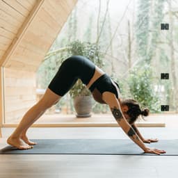 Peaceful Practice: Music for Yoga - In Yoga Academy