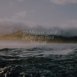 Los 50 Mejores Sonidos Definitivos Para Meditar - Sleep Baby Sleep