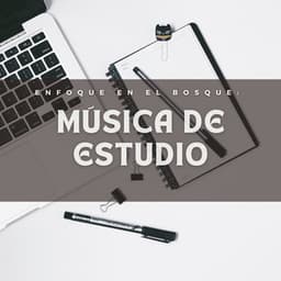 Enfoque En El Bosque: Música De Estudio - Sonidos Del Bosque