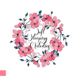 Soft Sleeping Melodies - Soft Sleeping Melodies