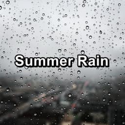 Summer Rain - Nature Sounds Factory STHLM