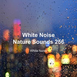 White Noise 256 - White Noise