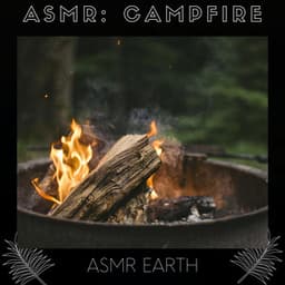 ASMR: Campfire - ASMR Earth