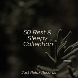 50 Rest & Sleepy Collection - Soothing Sounds