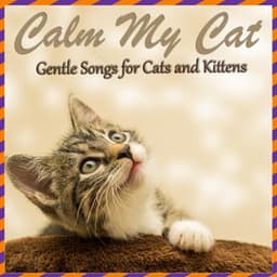 Calm My Cat - Gentle Songs for Cats and Kittens - RelaxMyCat