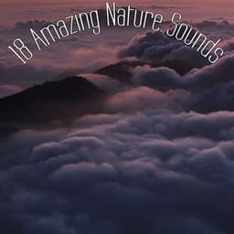 15 Zen Focus Nature Sounds & White Noise Rain - Sounds of Nature White Noise for Mindfulness Meditation and Relaxation