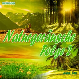 Naturgeräusche: Folge 2 - 432 Hz