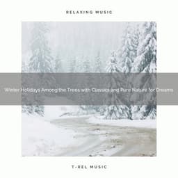 Winter Holidays Among the Trees with Classics and Pure Nature for Dreams - The Outdoor Library