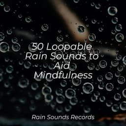 50 Loopable Rain Sounds to Aid Mindfulness - Japanese Relaxation and Meditation