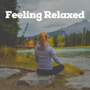 Feeling Relaxed - Meditations for Peace