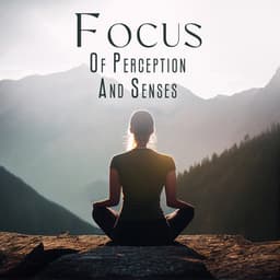 Focus Of Perception And Senses - Full Mental Alchemist