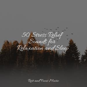 50 Stress Relief Sounds for Relaxation and Sleep - Academia de Música para Massagem Relaxamento