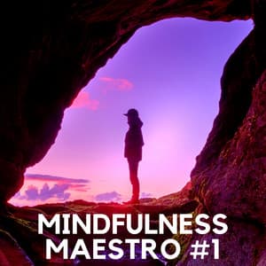 Mindfulness Maestro #1 - Top Meditation Music for Spa, Massage and Relaxation - Purest Tonality