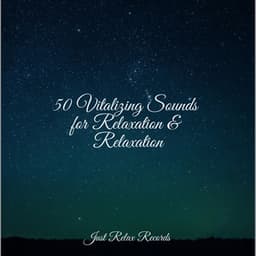 50 Vitalizing Sounds for Relaxation & Relaxation - Study Music & Sounds