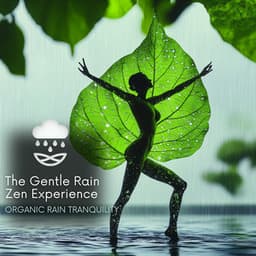 The Gentle Rain Zen Experience - Organic Rain Tranquility