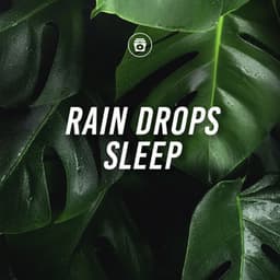Rain Drops Sleep - Rain Sounds Nature Collection