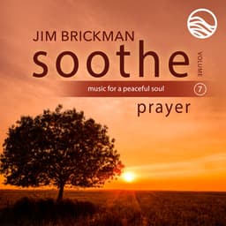 Soothe Vol. 7: Prayer - Jim Brickman