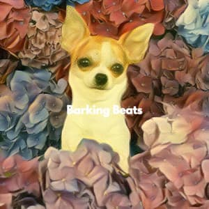 Barking Beats - Work & Jazz Vibes