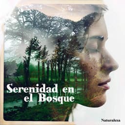 Serenidad en el Bosque - Naturaleza