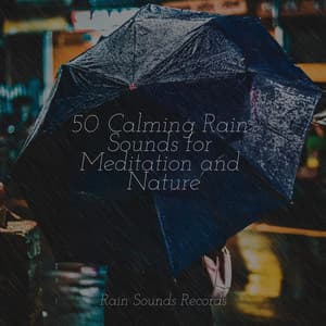 50 Calming Rain Sounds for Meditation and Nature - Sons da Natureza