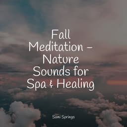 Fall Meditation - Nature Sounds for Spa & Healing - Rain