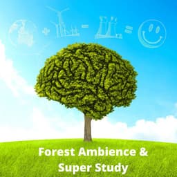 Forest Ambience & Super Study: Calming Wind, Birds and Chimes for Relaxation and Focus - Brain Study Music Guys