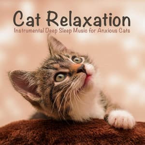 Cat Relaxation: Instrumental Deep Sleep Music for Anxious Cats - RelaxMyCat