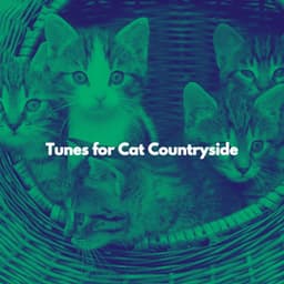 Tunes for Cat Countryside - Jazz & Study Vibes