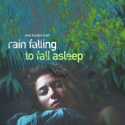 Rain Falling to Fall Asleep - Rain Sounds Sleep