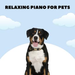 Doggy Lullabies - Relaxing Piano For Pets
