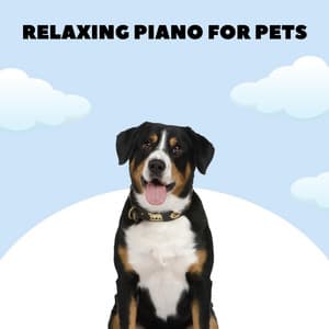 Doggy Lullabies - Relaxing Piano For Pets