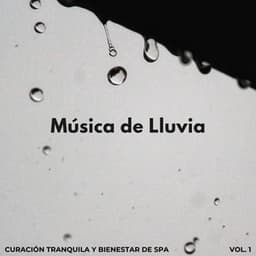 Música De Lluvia: Curación Tranquila Y Bienestar De Spa Vol. 1 - El sonido de la lluvia