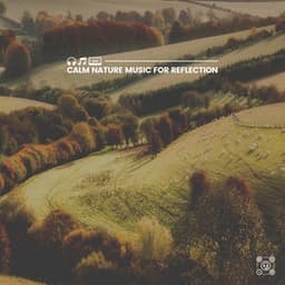 Calm Nature Music for Reflection - Nature Sounds Artists