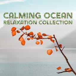 Calming Ocean Relaxation Collection - White Noise Beach Sounds