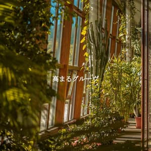 高まるグルーヴ - Classic Bosas Nova Radio