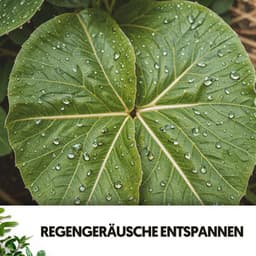 Regen-Spa-Klänge: Heilende Serenade - Relajacion