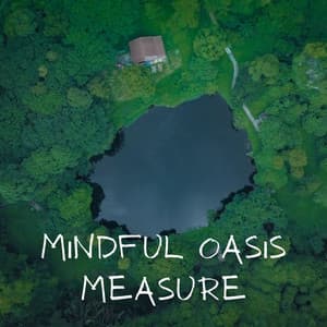 Mindful Oasis Measure - Relaxed Minds