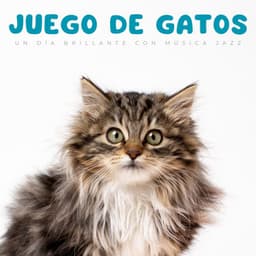 Juego De Gatos: Un Día Brillante Con Música Jazz - Increíble Chill Out Jazz Paraíso