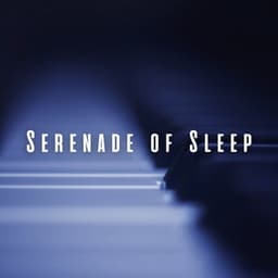 Serenade of Sleep: Gentle Piano Notes - Piano for Sleep