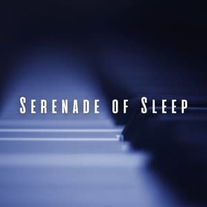 Serenade of Sleep: Gentle Piano Notes - Piano for Sleep