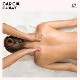 Caricia Suave - Academia de Música de la Música Ambiente