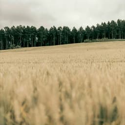 365 Zen: Forever You - between waves