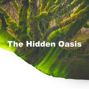 The Hidden Oasis - Nature Sounds Nature Music