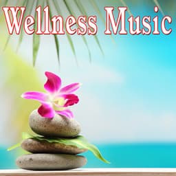 Wellness Music - Dr. Meditation