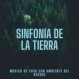 Sinfonía de la Tierra: Música de Yoga con Ambiente del Bosque - Naturaleza y selección de la selva tropical colectiva