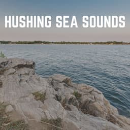 Hushing Sea Sounds - Stress Relief Calm Oasis
